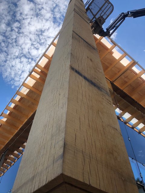 Bundled timber