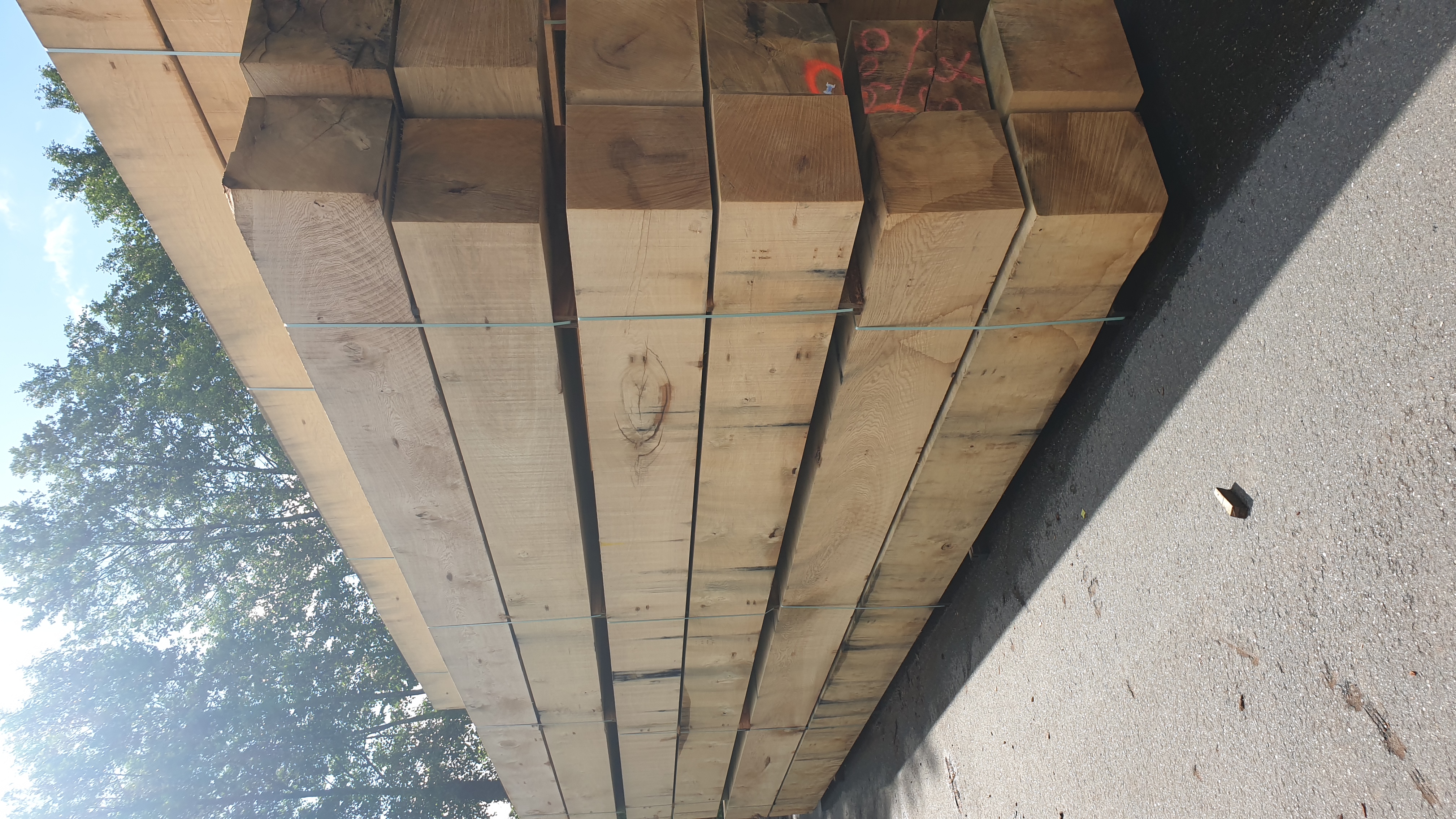 Overview of timber yard with stacked hardwood