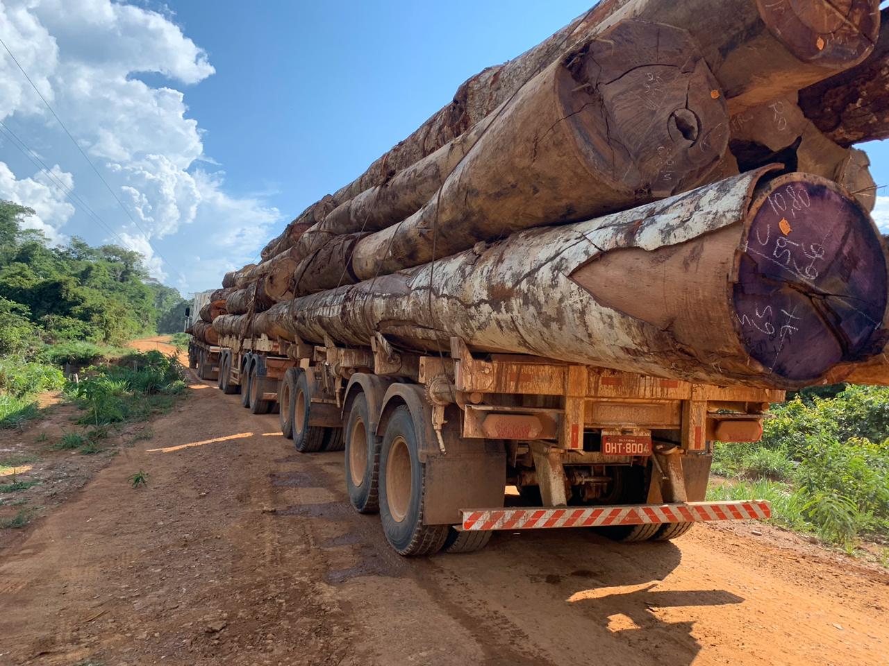 Sawn hardwood boards